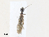  ( - CBG-A30156-E02)  @11 [ ] CreativeCommons - Attribution Share - Alike (2024) CBG Photography Group Centre for Biodiversity Genomics