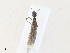  ( - CBG-A30156-E03)  @11 [ ] CreativeCommons - Attribution Share - Alike (2024) CBG Photography Group Centre for Biodiversity Genomics
