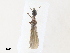 ( - CBG-A30156-E06)  @11 [ ] CreativeCommons - Attribution Share - Alike (2024) CBG Photography Group Centre for Biodiversity Genomics