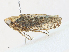  ( - CBG-A30973-G04)  @11 [ ] CreativeCommons - Attribution Share - Alike (2024) CBG Photography Group Centre for Biodiversity Genomics