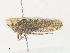  ( - CBG-A30973-G05)  @11 [ ] CreativeCommons - Attribution Share - Alike (2024) CBG Photography Group Centre for Biodiversity Genomics