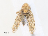  ( - CBG-A30973-H02)  @11 [ ] CreativeCommons - Attribution Share - Alike (2024) CBG Photography Group Centre for Biodiversity Genomics
