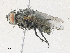  ( - CBG-A30999-D03)  @11 [ ] CreativeCommons - Attribution Share - Alike (2024) CBG Photography Group Centre for Biodiversity Genomics