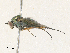  ( - CBG-A17506-A02)  @11 [ ] CreativeCommons - Attribution Share - Alike (2024) CBG Photography Group Centre for Biodiversity Genomics