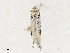  ( - CBG-A17508-E03)  @11 [ ] CreativeCommons - Attribution Share - Alike (2024) CBG Photography Group Centre for Biodiversity Genomics