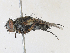  ( - CBG-A30119-H11)  @11 [ ] CreativeCommons - Attribution Share - Alike (2024) CBG Photography Group Centre for Biodiversity Genomics