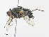  ( - CBG-A30120-G10)  @11 [ ] CreativeCommons - Attribution Share - Alike (2024) CBG Photography Group Centre for Biodiversity Genomics