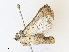  ( - CBG-A30919-H11)  @11 [ ] CreativeCommons - Attribution Share - Alike (2024) CBG Photography Group Centre for Biodiversity Genomics