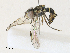  ( - CBG-A30922-G04)  @11 [ ] CreativeCommons - Attribution Share - Alike (2024) CBG Photography Group Centre for Biodiversity Genomics