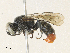  ( - CBG-A31813-H07)  @11 [ ] CreativeCommons - Attribution Share - Alike (2024) CBG Photography Group Centre for Biodiversity Genomics