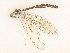  ( - CBG-A33463-H07)  @11 [ ] CreativeCommons - Attribution Share - Alike (2024) CBG Photography Group Centre for Biodiversity Genomics