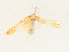  ( - CBG-A34284-D01)  @11 [ ] CreativeCommons - Attribution Share - Alike (2024) CBG Photography Group Centre for Biodiversity Genomics