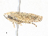  ( - CBG-A34301-D12)  @11 [ ] CreativeCommons - Attribution Share - Alike (2024) CBG Photography Group Centre for Biodiversity Genomics