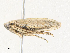  ( - CBG-A34302-B04)  @11 [ ] CreativeCommons - Attribution Share - Alike (2024) CBG Photography Group Centre for Biodiversity Genomics