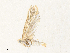  ( - CBG-A34303-A04)  @11 [ ] CreativeCommons - Attribution Share - Alike (2024) CBG Photography Group Centre for Biodiversity Genomics