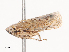  ( - CBG-A34304-B04)  @11 [ ] CreativeCommons - Attribution Share - Alike (2024) CBG Photography Group Centre for Biodiversity Genomics