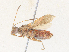  ( - CBG-A35162-A03)  @11 [ ] CreativeCommons - Attribution Share - Alike (2024) CBG Photography Group Centre for Biodiversity Genomics
