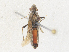  ( - CBG-A35162-A04)  @11 [ ] CreativeCommons - Attribution Share - Alike (2024) CBG Photography Group Centre for Biodiversity Genomics