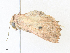  ( - CBG-A35163-A11)  @11 [ ] CreativeCommons - Attribution Share - Alike (2024) CBG Photography Group Centre for Biodiversity Genomics