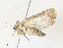  ( - CBG-A35163-B05)  @11 [ ] CreativeCommons - Attribution Share - Alike (2024) CBG Photography Group Centre for Biodiversity Genomics