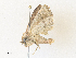  ( - CBG-A35163-B06)  @11 [ ] CreativeCommons - Attribution Share - Alike (2024) CBG Photography Group Centre for Biodiversity Genomics