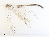  ( - CBG-A35163-H01)  @11 [ ] CreativeCommons - Attribution Share - Alike (2024) CBG Photography Group Centre for Biodiversity Genomics