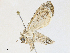  ( - CBG-A38425-F02)  @11 [ ] CreativeCommons - Attribution Share - Alike (2024) CBG Photography Group Centre for Biodiversity Genomics