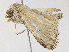 ( - CBG-A38425-F04)  @11 [ ] CreativeCommons - Attribution Share - Alike (2024) CBG Photography Group Centre for Biodiversity Genomics