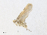  ( - CBG-A38432-F04)  @11 [ ] CreativeCommons - Attribution Share - Alike (2024) CBG Photography Group Centre for Biodiversity Genomics