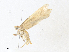  ( - CBG-A38432-F09)  @11 [ ] CreativeCommons - Attribution Share - Alike (2024) CBG Photography Group Centre for Biodiversity Genomics