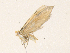  ( - CBG-A38432-H05)  @11 [ ] CreativeCommons - Attribution Share - Alike (2024) CBG Photography Group Centre for Biodiversity Genomics
