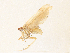  ( - CBG-A38432-H07)  @11 [ ] CreativeCommons - Attribution Share - Alike (2024) CBG Photography Group Centre for Biodiversity Genomics