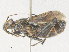  ( - CBG-A38460-F05)  @11 [ ] CreativeCommons - Attribution Share - Alike (2024) CBG Photography Group Centre for Biodiversity Genomics