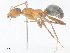  ( - CBG-A38462-G12)  @11 [ ] CreativeCommons - Attribution Share - Alike (2024) CBG Photography Group Centre for Biodiversity Genomics