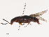  ( - CBG-A40112-A10)  @11 [ ] CreativeCommons - Attribution Share - Alike (2024) CBG Photography Group Centre for Biodiversity Genomics