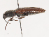  ( - CBG-A40112-B07)  @11 [ ] CreativeCommons - Attribution Share - Alike (2024) CBG Photography Group Centre for Biodiversity Genomics
