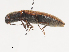 ( - CBG-A40112-B08)  @11 [ ] CreativeCommons - Attribution Share - Alike (2024) CBG Photography Group Centre for Biodiversity Genomics