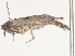  ( - CBG-A40112-F02)  @11 [ ] CreativeCommons - Attribution Share - Alike (2024) CBG Photography Group Centre for Biodiversity Genomics