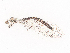  ( - CBG-A40122-H11)  @11 [ ] CreativeCommons - Attribution Share - Alike (2024) CBG Photography Group Centre for Biodiversity Genomics