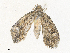  ( - CBG-A40137-B01)  @11 [ ] CreativeCommons - Attribution Share - Alike (2024) CBG Photography Group Centre for Biodiversity Genomics