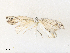  ( - CBG-A40137-B04)  @11 [ ] CreativeCommons - Attribution Share - Alike (2024) CBG Photography Group Centre for Biodiversity Genomics