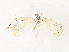  ( - CBG-A40137-B06)  @11 [ ] CreativeCommons - Attribution Share - Alike (2024) CBG Photography Group Centre for Biodiversity Genomics