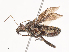  ( - CBG-A40139-C10)  @11 [ ] CreativeCommons - Attribution Share - Alike (2024) CBG Photography Group Centre for Biodiversity Genomics