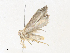  ( - CBG-A40140-E08)  @11 [ ] CreativeCommons - Attribution Share - Alike (2024) CBG Photography Group Centre for Biodiversity Genomics