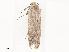  ( - CBG-A40143-E12)  @11 [ ] CreativeCommons - Attribution Share - Alike (2024) CBG Photography Group Centre for Biodiversity Genomics