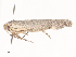  ( - CBG-A40143-F01)  @11 [ ] CreativeCommons - Attribution Share - Alike (2024) CBG Photography Group Centre for Biodiversity Genomics