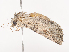  ( - CBG-A40143-G11)  @11 [ ] CreativeCommons - Attribution Share - Alike (2024) CBG Photography Group Centre for Biodiversity Genomics