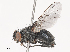  ( - CBG-A40143-H07)  @11 [ ] CreativeCommons - Attribution Share - Alike (2024) CBG Photography Group Centre for Biodiversity Genomics