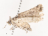  ( - CBG-A40154-A04)  @11 [ ] CreativeCommons - Attribution Share - Alike (2024) CBG Photography Group Centre for Biodiversity Genomics
