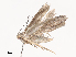  ( - CBG-A40156-E10)  @11 [ ] CreativeCommons - Attribution Share - Alike (2024) CBG Photography Group Centre for Biodiversity Genomics